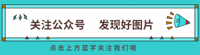 金年会体育关于开发者社区动态显示,区块链安全成为全球关注焦点的信息