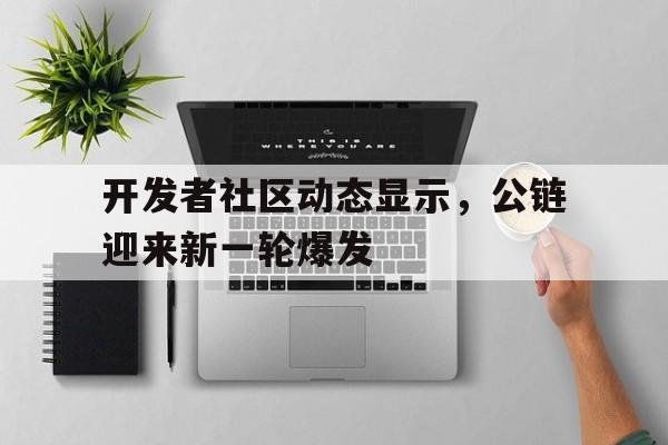 金年会下载开发者社区动态显示,公链迎来新一轮爆发的简单介绍